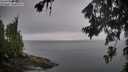 ./images/koeye/fitz-hugh/20260703/fitz-hugh20260703_075002M.jpg