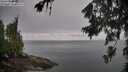 ./images/koeye/fitz-hugh/20260703/fitz-hugh20260703_075501M.jpg