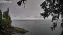./images/koeye/fitz-hugh/20260703/fitz-hugh20260703_080002M.jpg