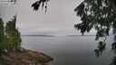 ./images/koeye/fitz-hugh/20260703/fitz-hugh20260703_091501M.jpg