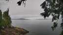./images/koeye/fitz-hugh/20260703/fitz-hugh20260703_093001M.jpg