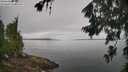 ./images/koeye/fitz-hugh/20260703/fitz-hugh20260703_094001M.jpg