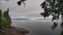 ./images/koeye/fitz-hugh/20260703/fitz-hugh20260703_100002M.jpg