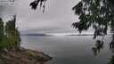 ./images/koeye/fitz-hugh/20260703/fitz-hugh20260703_104001M.jpg