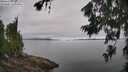 ./images/koeye/fitz-hugh/20260703/fitz-hugh20260703_104501M.jpg