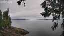 ./images/koeye/fitz-hugh/20260703/fitz-hugh20260703_105001M.jpg