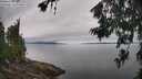 ./images/koeye/fitz-hugh/20260703/fitz-hugh20260703_105502M.jpg