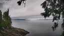 ./images/koeye/fitz-hugh/20260703/fitz-hugh20260703_110002M.jpg