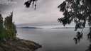 ./images/koeye/fitz-hugh/20260703/fitz-hugh20260703_110501M.jpg