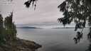 ./images/koeye/fitz-hugh/20260703/fitz-hugh20260703_111501M.jpg