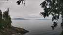 ./images/koeye/fitz-hugh/20260703/fitz-hugh20260703_114501M.jpg