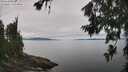 ./images/koeye/fitz-hugh/20260703/fitz-hugh20260703_115002M.jpg