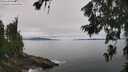 ./images/koeye/fitz-hugh/20260703/fitz-hugh20260703_115501M.jpg