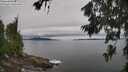 ./images/koeye/fitz-hugh/20260703/fitz-hugh20260703_121002M.jpg