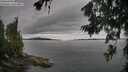 ./images/koeye/fitz-hugh/20260703/fitz-hugh20260703_124502M.jpg