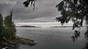 ./images/koeye/fitz-hugh/20260703/fitz-hugh20260703_125501M.jpg
