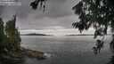 ./images/koeye/fitz-hugh/20260703/fitz-hugh20260703_130002M.jpg