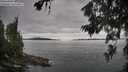 ./images/koeye/fitz-hugh/20260703/fitz-hugh20260703_130501M.jpg