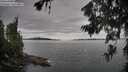 ./images/koeye/fitz-hugh/20260703/fitz-hugh20260703_131501M.jpg