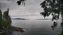 ./images/koeye/fitz-hugh/20260703/fitz-hugh20260703_133502M.jpg