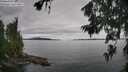 ./images/koeye/fitz-hugh/20260703/fitz-hugh20260703_134501M.jpg