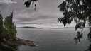 ./images/koeye/fitz-hugh/20260703/fitz-hugh20260703_135501M.jpg