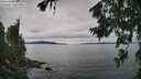 ./images/koeye/fitz-hugh/20260703/fitz-hugh20260703_143501M.jpg