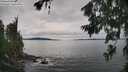 ./images/koeye/fitz-hugh/20260703/fitz-hugh20260703_144001M.jpg