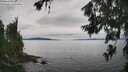 ./images/koeye/fitz-hugh/20260703/fitz-hugh20260703_145001M.jpg