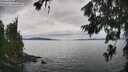 ./images/koeye/fitz-hugh/20260703/fitz-hugh20260703_145501M.jpg