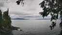 ./images/koeye/fitz-hugh/20260703/fitz-hugh20260703_150502M.jpg