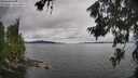 ./images/koeye/fitz-hugh/20260703/fitz-hugh20260703_153501M.jpg