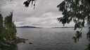 ./images/koeye/fitz-hugh/20260703/fitz-hugh20260703_154001M.jpg