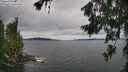 ./images/koeye/fitz-hugh/20260703/fitz-hugh20260703_170002M.jpg