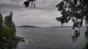 ./images/koeye/fitz-hugh/20260703/fitz-hugh20260703_174501M.jpg