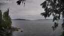 ./images/koeye/fitz-hugh/20260703/fitz-hugh20260703_175002M.jpg