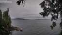 ./images/koeye/fitz-hugh/20260703/fitz-hugh20260703_182502M.jpg