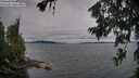 ./images/koeye/fitz-hugh/20260703/fitz-hugh20260703_183501M.jpg