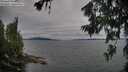 ./images/koeye/fitz-hugh/20260703/fitz-hugh20260703_184501M.jpg