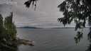 ./images/koeye/fitz-hugh/20260703/fitz-hugh20260703_185001M.jpg