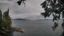 ./images/koeye/fitz-hugh/20260703/fitz-hugh20260703_185501M.jpg
