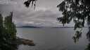 ./images/koeye/fitz-hugh/20260703/fitz-hugh20260703_195002M.jpg