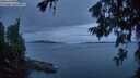./images/koeye/fitz-hugh/20260703/fitz-hugh20260703_221002M.jpg