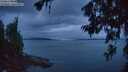 ./images/koeye/fitz-hugh/20260703/fitz-hugh20260703_222001M.jpg