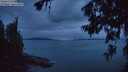 ./images/koeye/fitz-hugh/20260703/fitz-hugh20260703_222501M.jpg