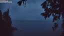 ./images/koeye/fitz-hugh/20260704/fitz-hugh20260704_044001M.jpg