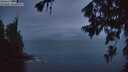 ./images/koeye/fitz-hugh/20260704/fitz-hugh20260704_045001M.jpg