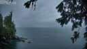 ./images/koeye/fitz-hugh/20260704/fitz-hugh20260704_053002M.jpg