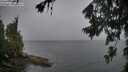 ./images/koeye/fitz-hugh/20260704/fitz-hugh20260704_074001M.jpg
