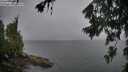 ./images/koeye/fitz-hugh/20260704/fitz-hugh20260704_080001M.jpg